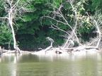 IMG 4736